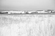 DSC0405