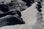 D817880