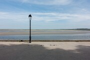 DSC03950