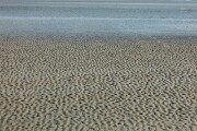 DSC03970