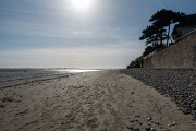 DSC03971
