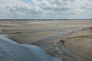 DSC04033