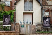 DSC04162