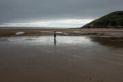 DSC04245