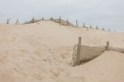 DSC04259