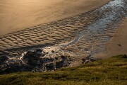 DSC04267