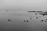 DSC04291