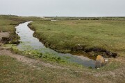 DSC04356