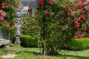 DSC04385