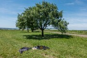 DSC04396