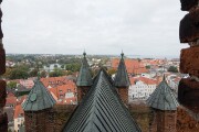 DSC01388