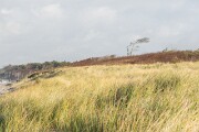 D812497