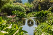 Trebah Garden + Falmouth