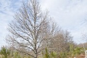D85 9032 DXO-8 LK-1920