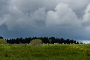 D853278