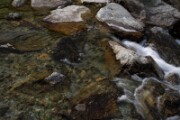 A6104689 DxO