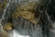 A6104811 DxO