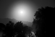 D85 6912 DXO-8 LK-1600