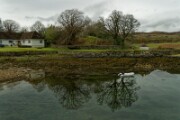 A612647 DxO